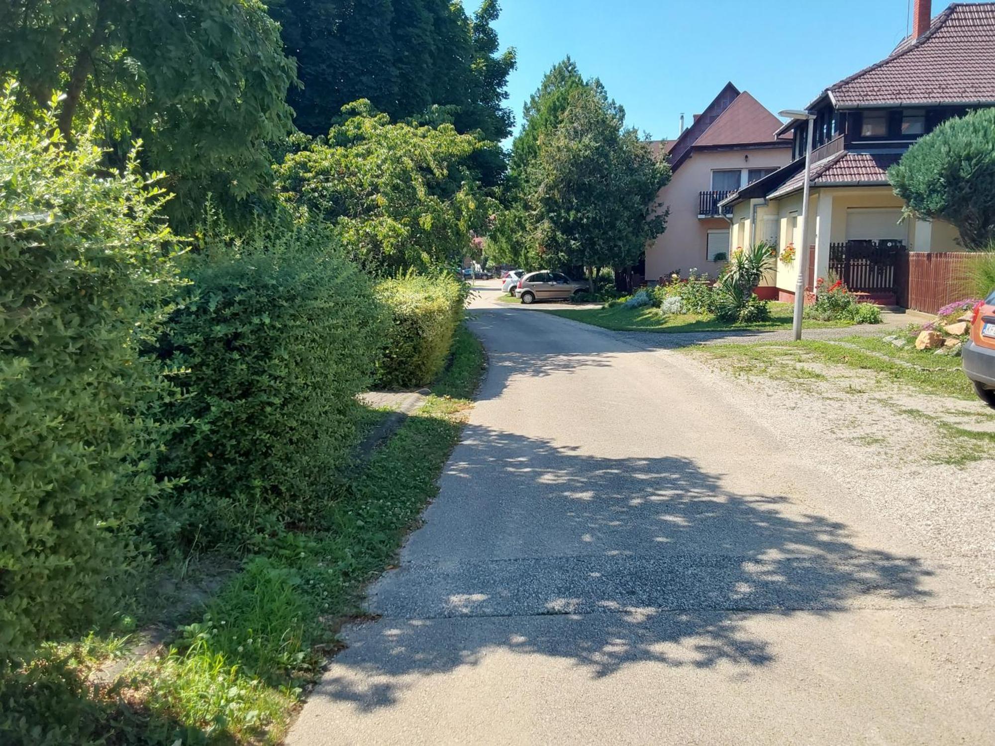 Tuerkiz Apartman - 5 Szobas 13 Fos Apartmanhaz 4Km A Balaton- Balatonszabadi Fürdőtelep Zewnętrze zdjęcie